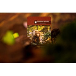 Ziemia - gra planszowa Lucky Duck Games